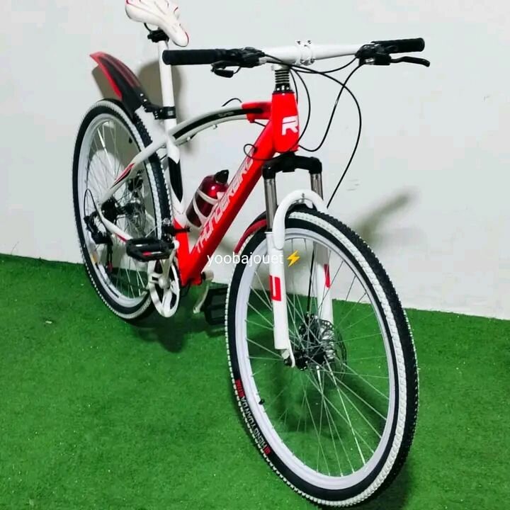 Vélo de montagne robuste