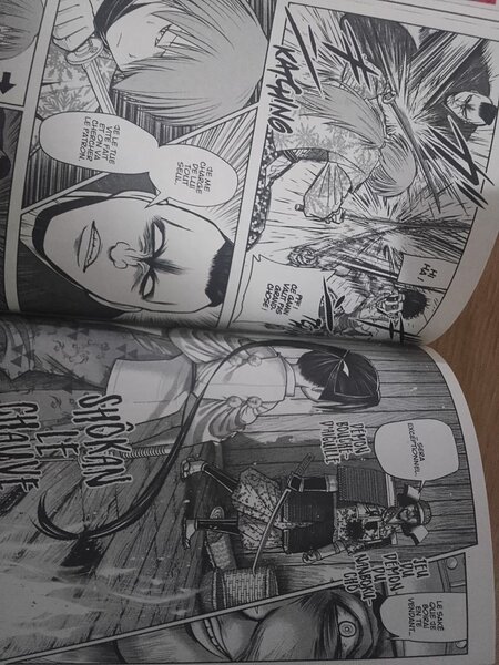 Manga "The Elusive Samurai"