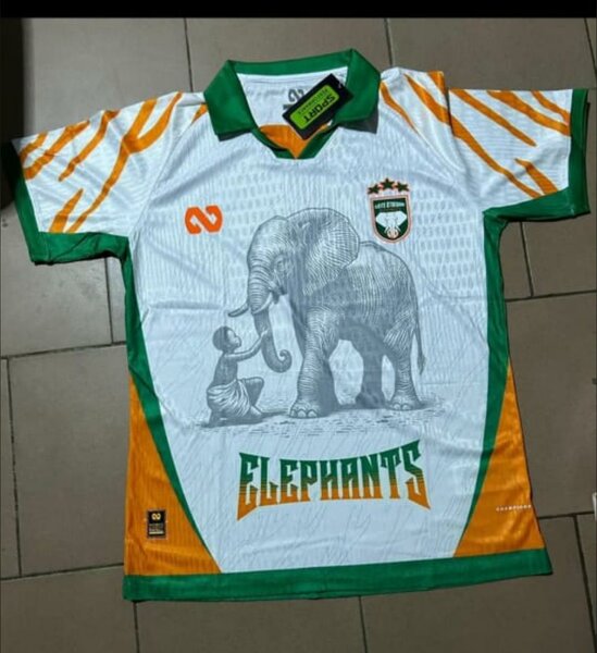 Maillot Équipe Éléphants