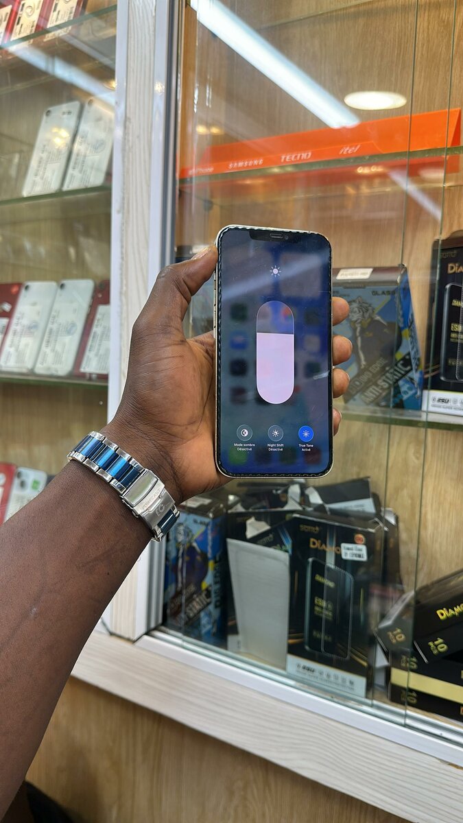 iPhone 12 Pro Max 256Go