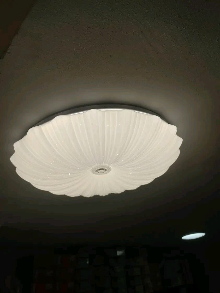 Elegant LED Ceiling Light