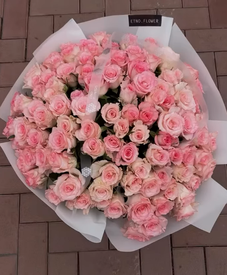 ПРЕКРАСНЫЕ РОЗЫ😍