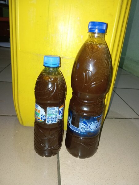 Miel 1L 100% naturel non brûlé