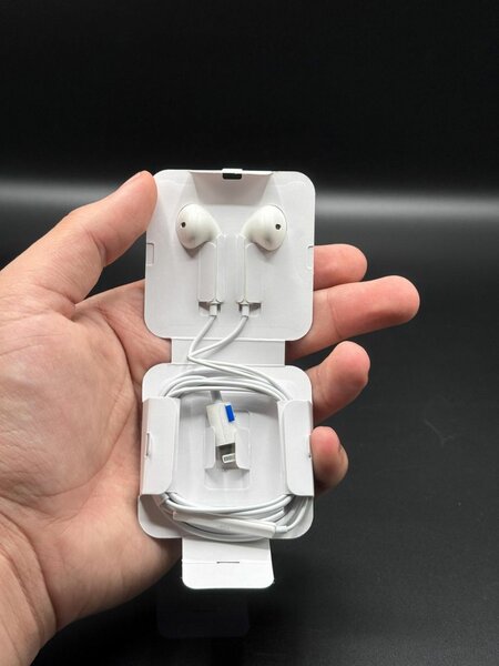 Apple Wired Air pods