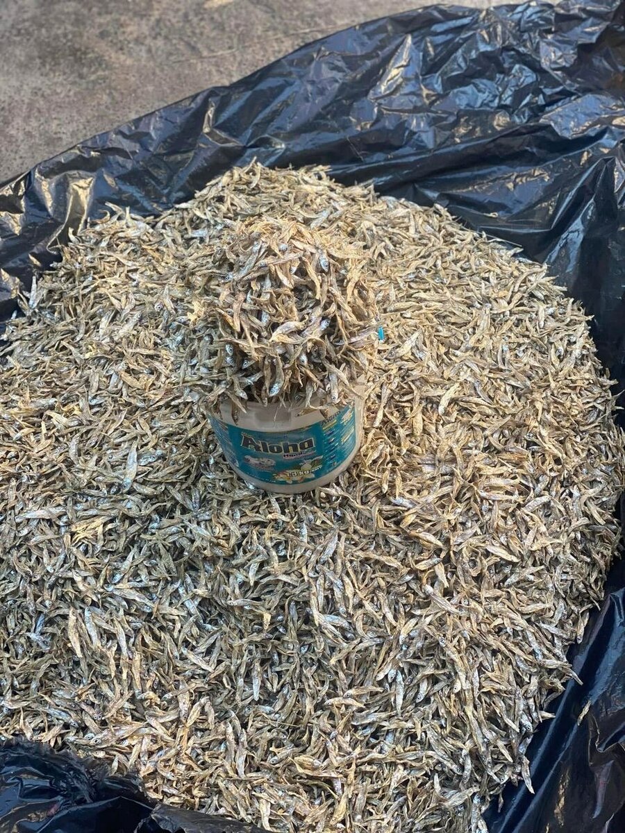 Dry fish Fresh kapenta and kapenta