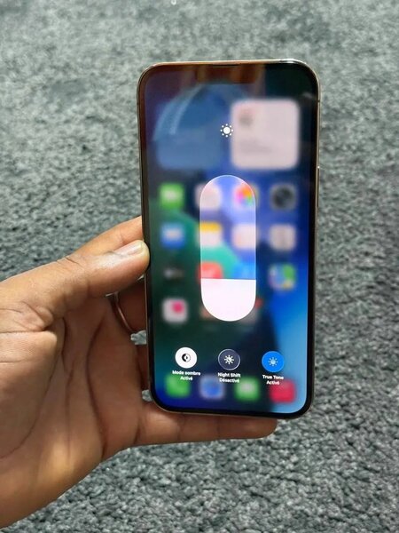 iPhone 13 Pro Max 256GB