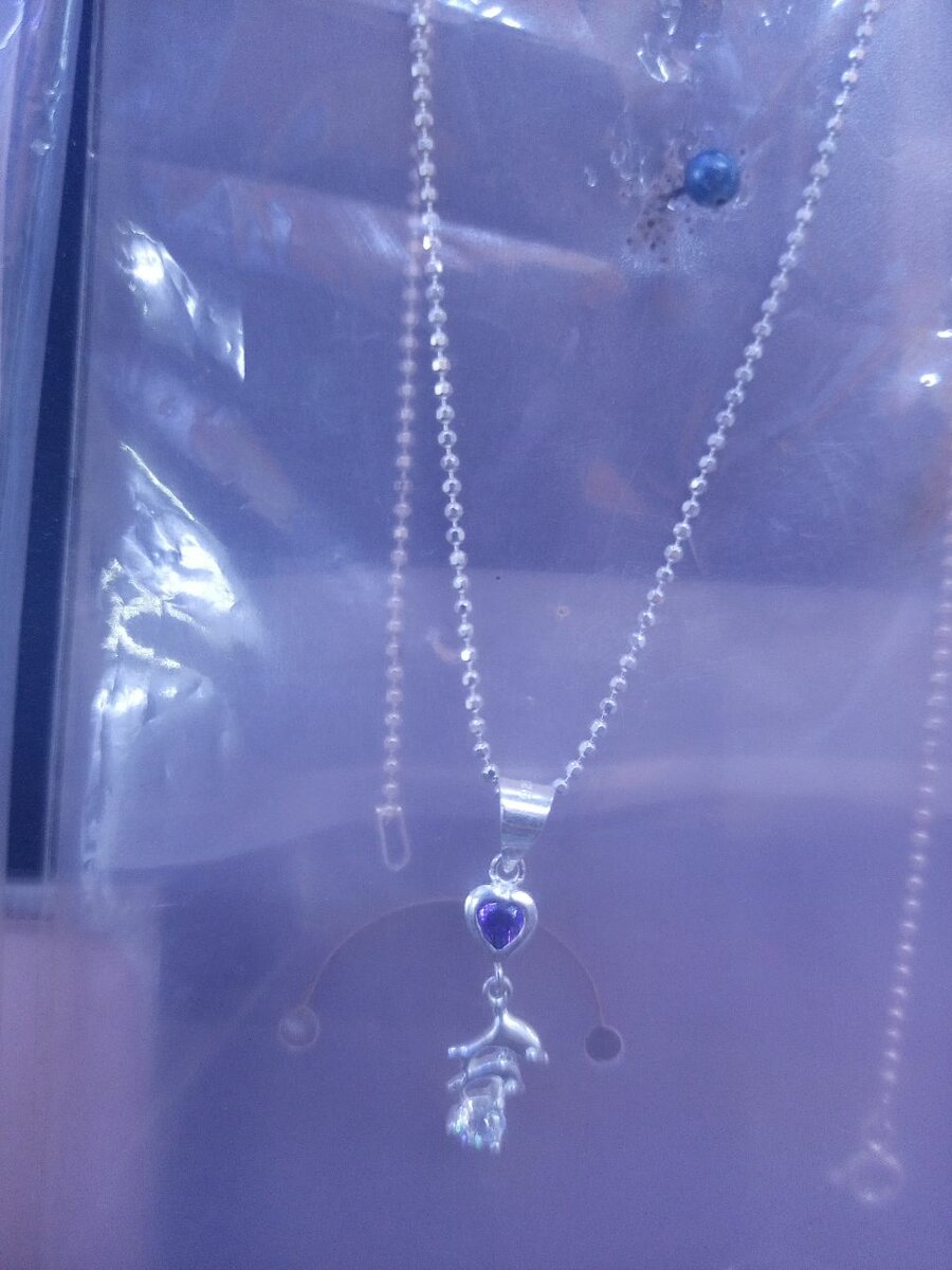 Silver necklace and locket