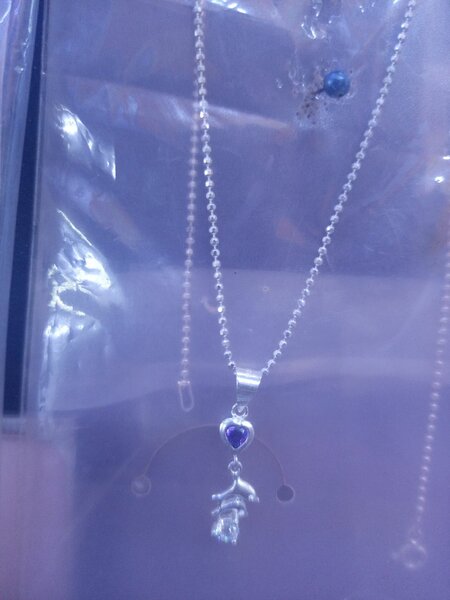 Silver necklace and locket