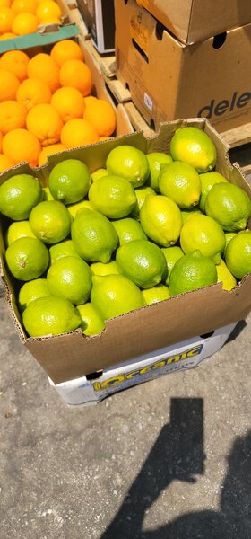 Lime Lemon