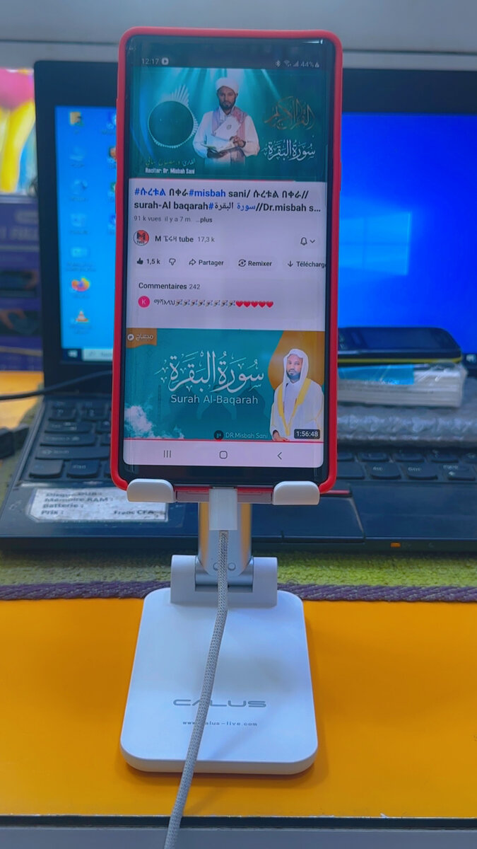 Support Téléphone Réglable Calus