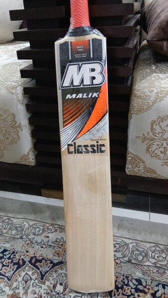 english willow hard ball professional cricket bat