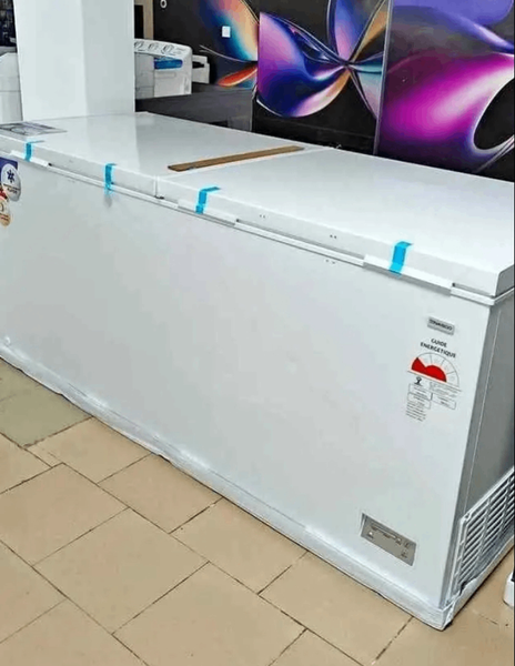 Congélateur horizontal grande capacité