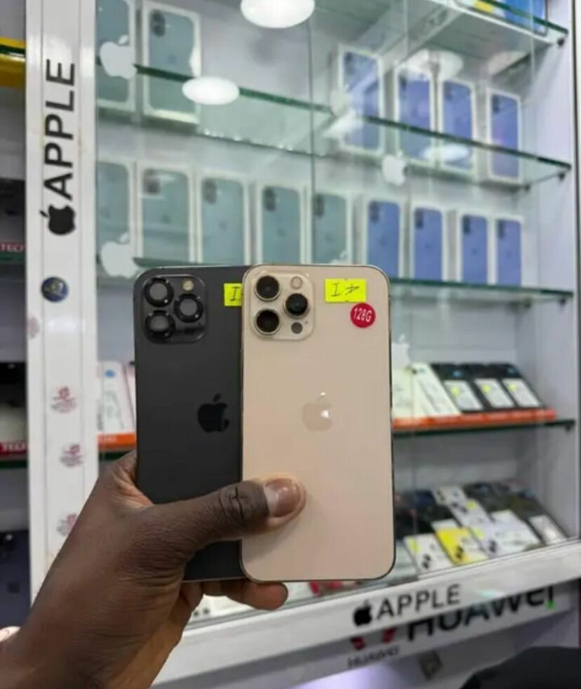 iPhone 13 Pro Max 256Go