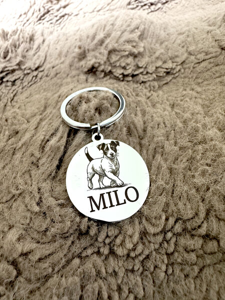 Médaille identification Chien