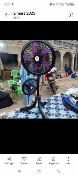 2 Ventilateurs Royal