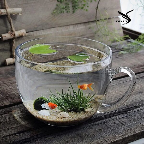 Mini Aquarium en Verre
