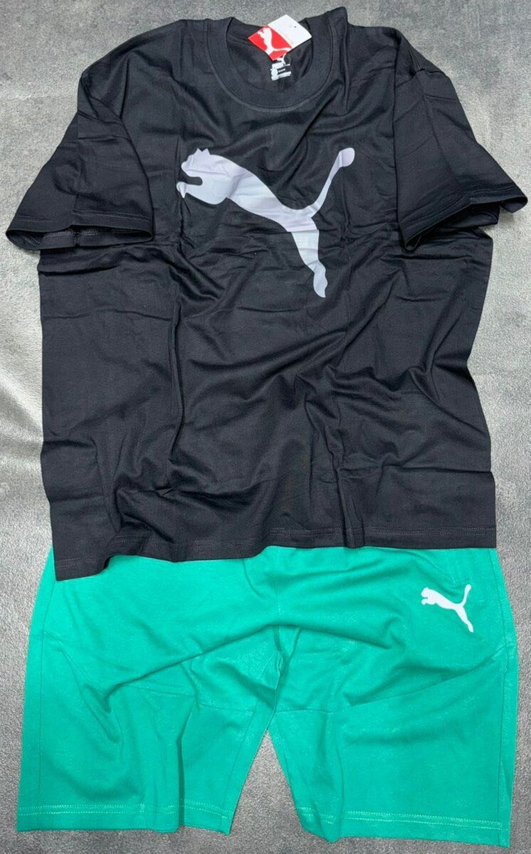 Ensemble sportif Puma hommes