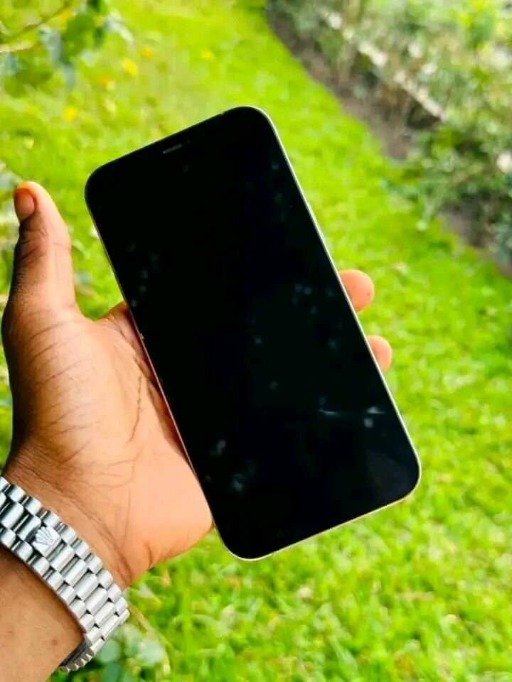 iPhone 13 Pro Max Argent