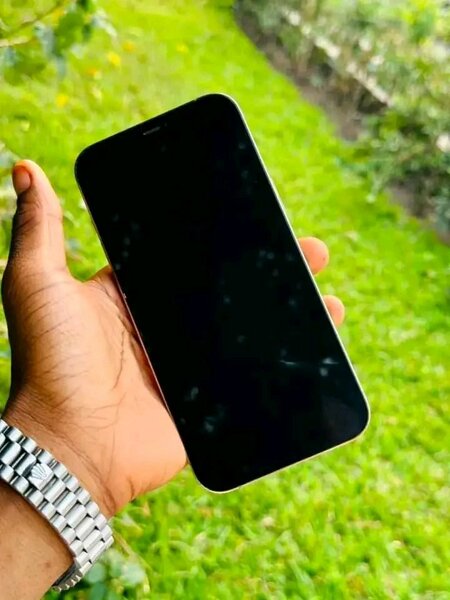 iPhone 13 Pro Max Argent