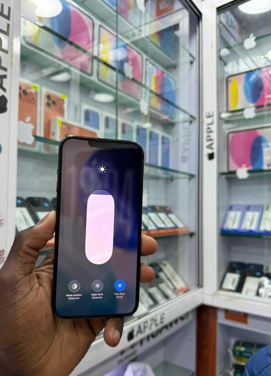 13 pro max 128 Go tout dorigi