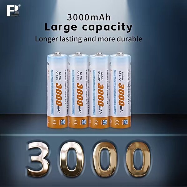 Chargeur de Piles Ni-MH 3000mAh