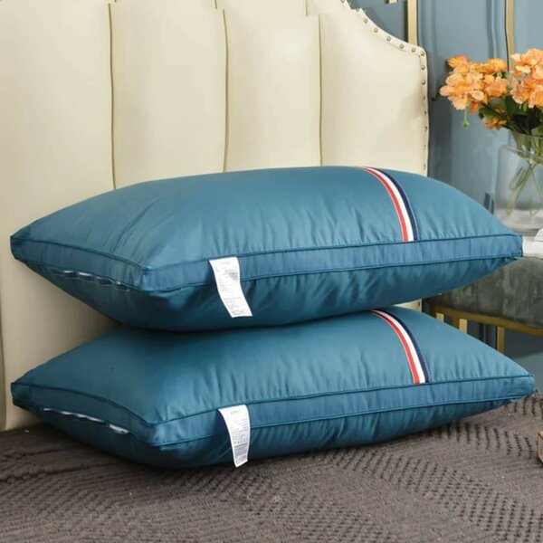 Oreillers Bleu Confort Haut de Gamme