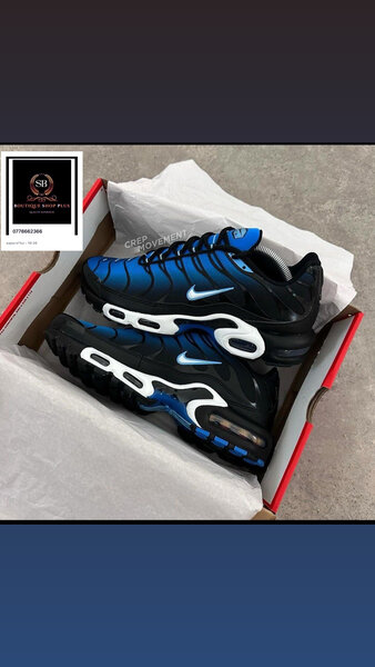 Basket Nike tn authentique