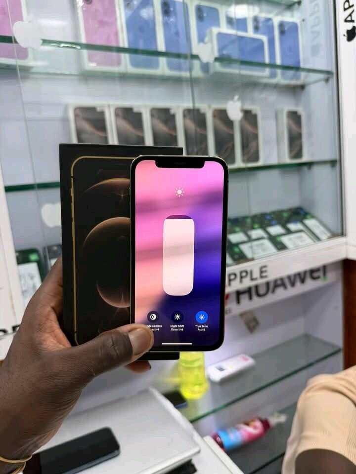 iPhone 12 Pro 256 Go