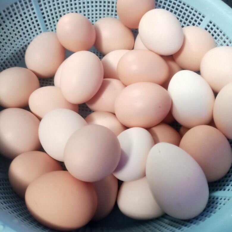 Pure Organic Desi eggs