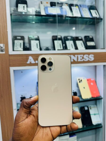 iPhone 12 Pro Max 128Go tout