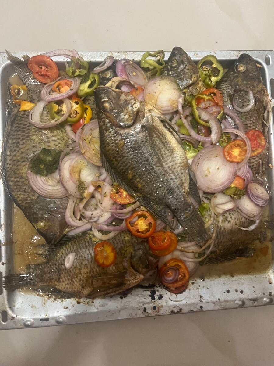 Tilapia grillée,braisé,au four
