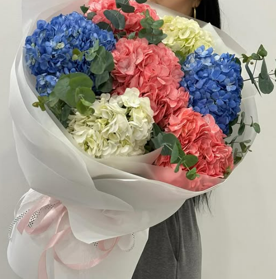 В наличии самые шикарные королевские гортензии 🤍✨