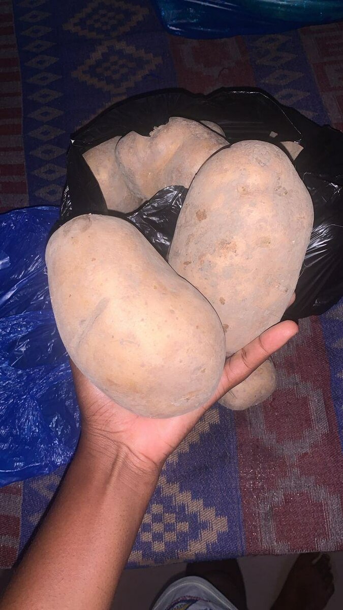 Kit Complet Poulet et Pommes de Terre