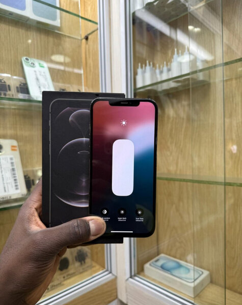 iPhone 12 Pro Max 256GB