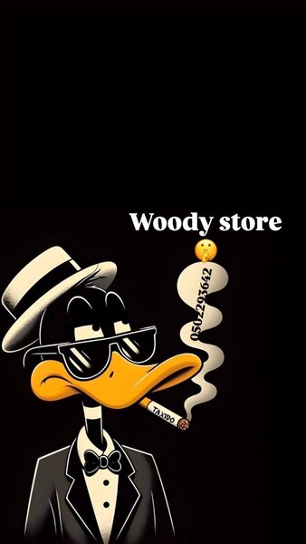 WOODY STORE 