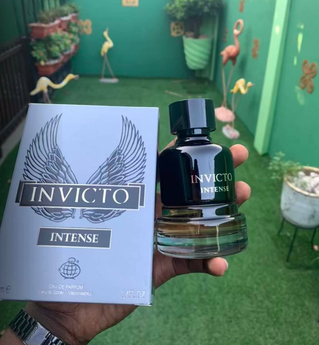 Invicto ( all the types are available )