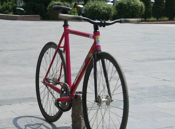 фикс colossi cheekotrack x alp