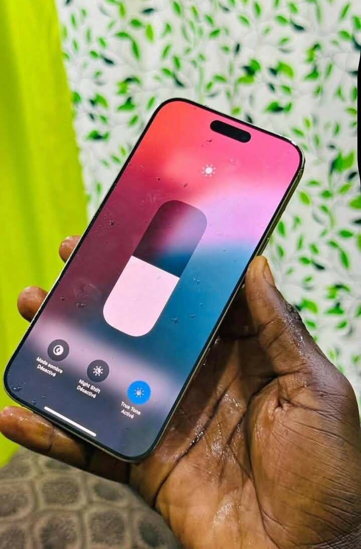 iPhone 14 Pro Max 256Go