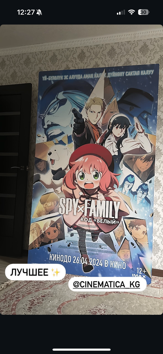 Банер с фильма «Семья Шпиона: код белый)