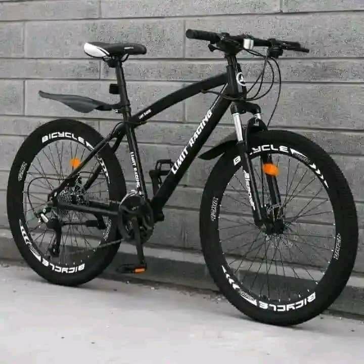 Vélo de Montagne Tout-Terrain