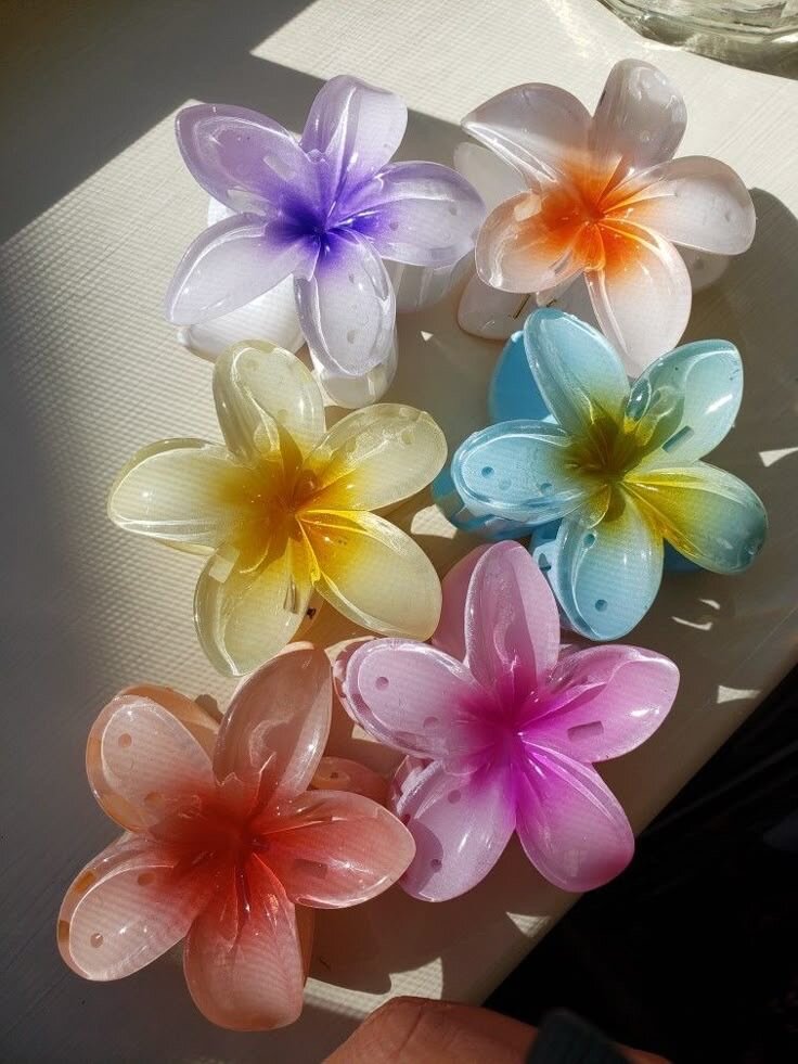 Clips à cheveux fleurs colorées