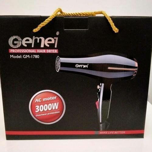 Sèche-cheveux Professionnel Gemei GM-1780