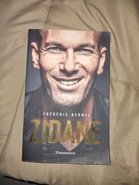 Biographie de Zidane