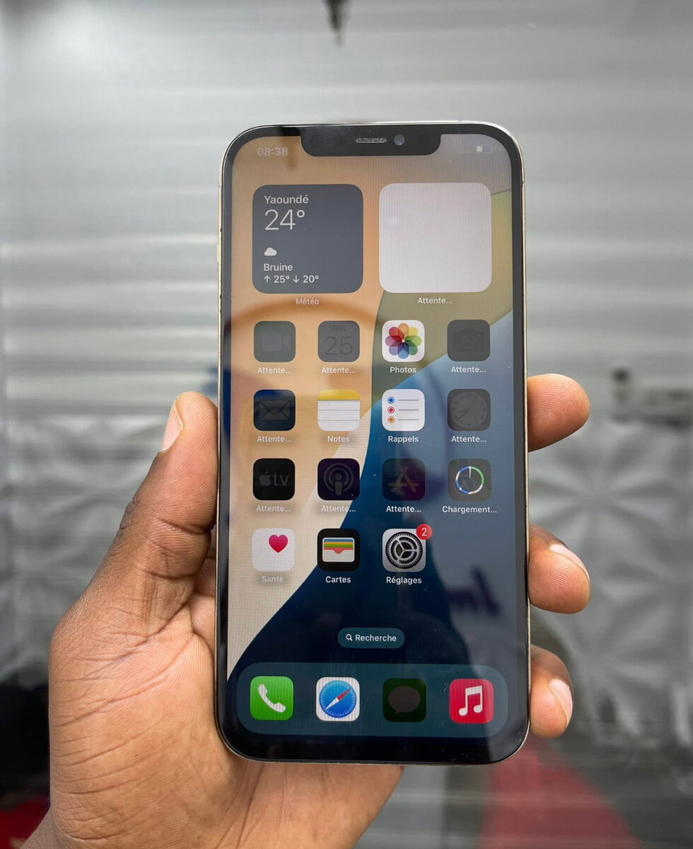 iPhone 13 Pro Max 256 Go