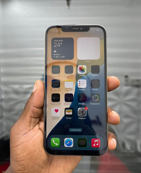 iPhone 13 Pro Max 256 Go