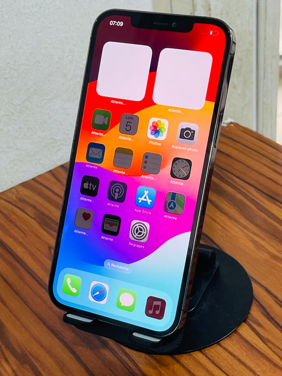 iPhone 12 Pro Max très propre ( vendu avec reçu )