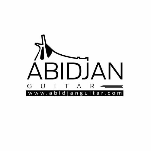 Guitare acoustique F3000