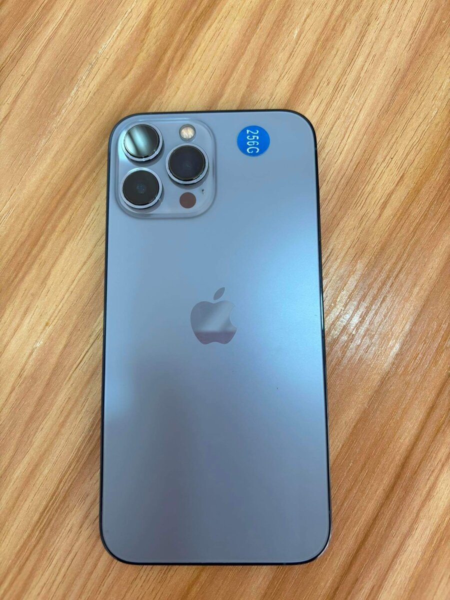 iPhone 13 Pro Max Quasi neuf