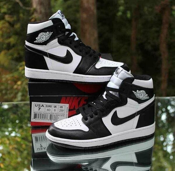 NIKE AIR DUNK LOW