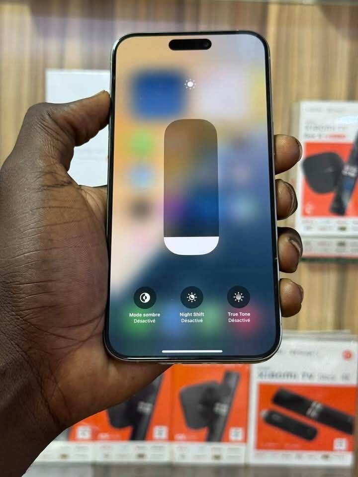 iPhone 14 Pro Max 256GB Argent